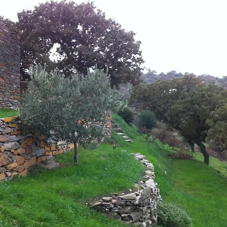 Under Royal Oaks Villa Pera Meria Exterior photo