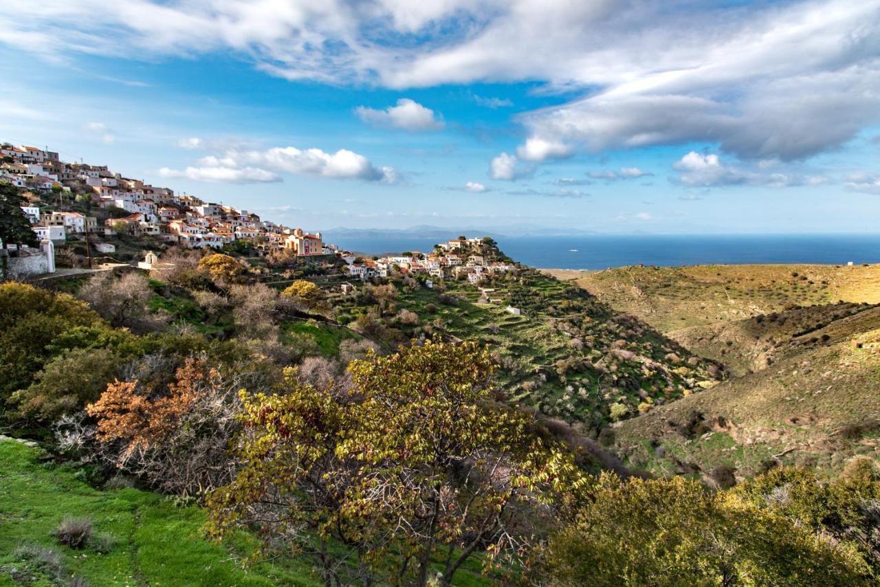 Under Royal Oaks Holiday home Pera Meria