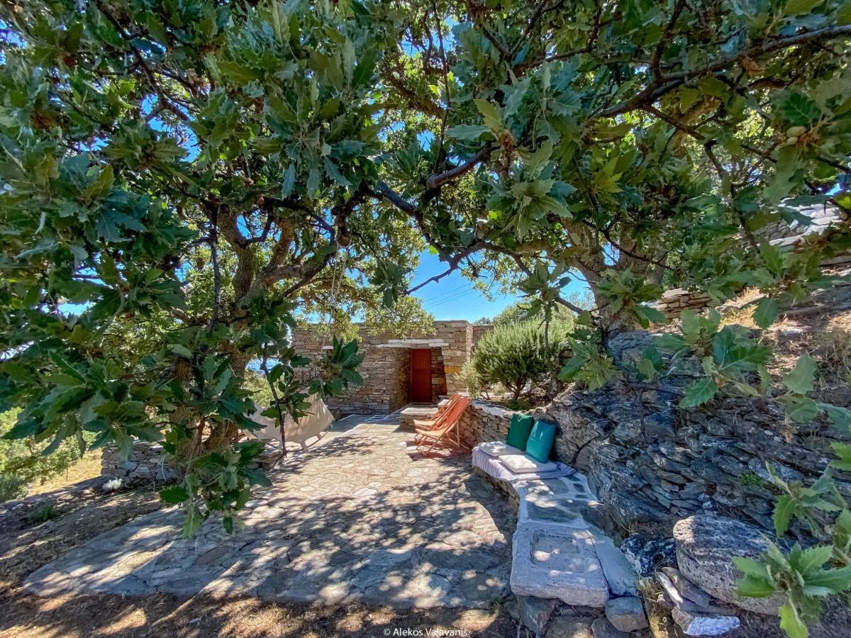 Holiday home Under Royal Oaks