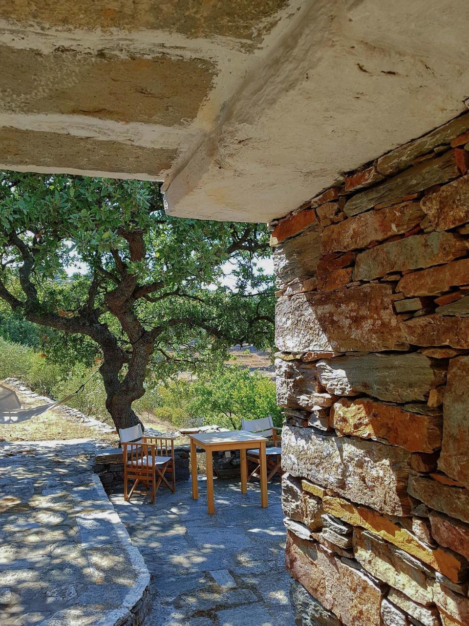Under Royal Oaks Pera Meria