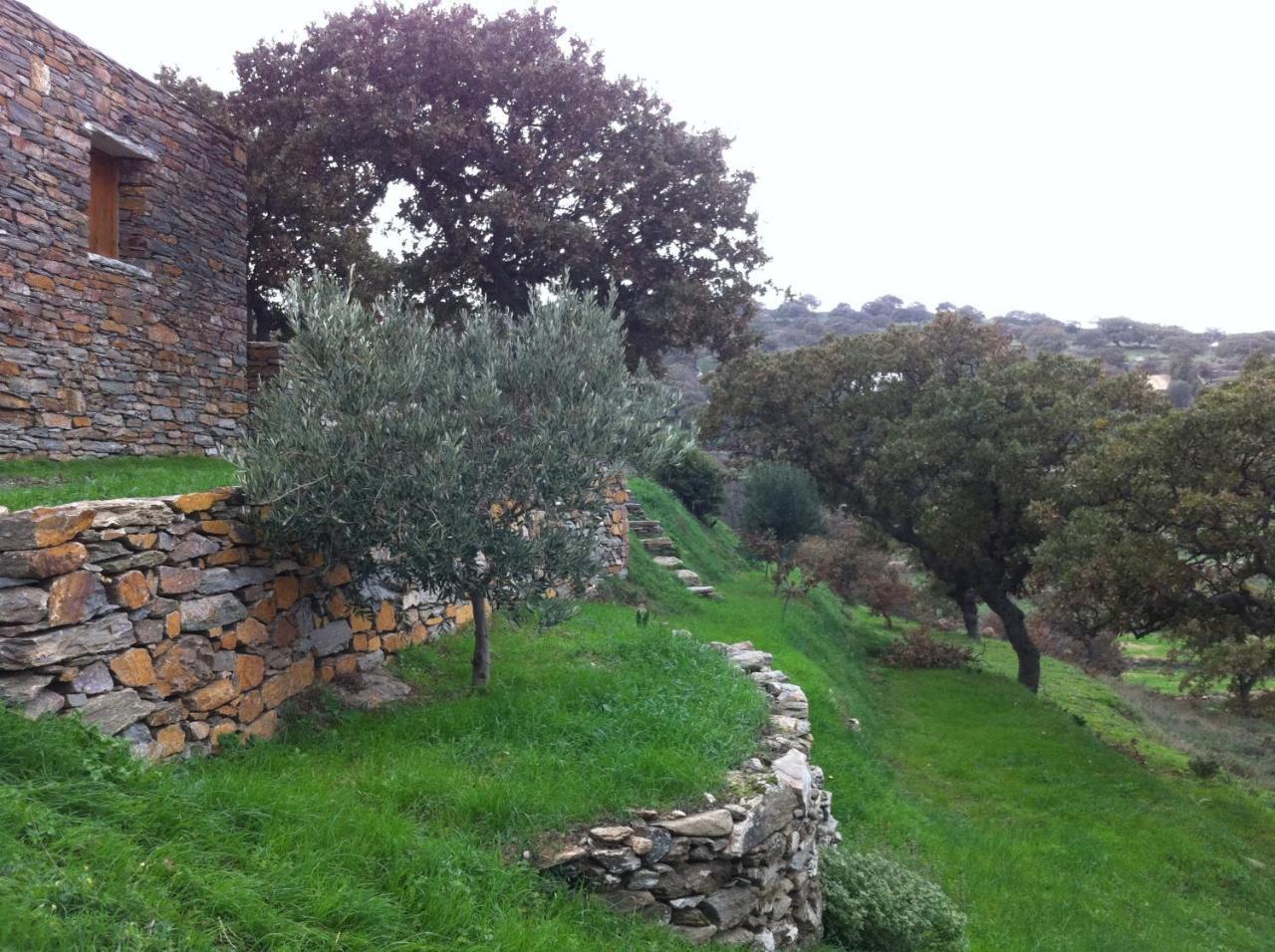 Under Royal Oaks Holiday home *
